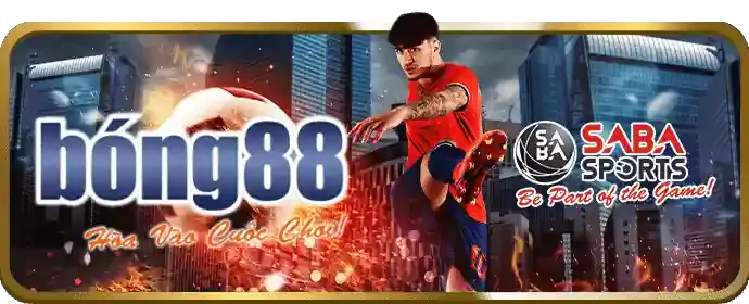 Đá Gà Thomo tại m hello88 bet