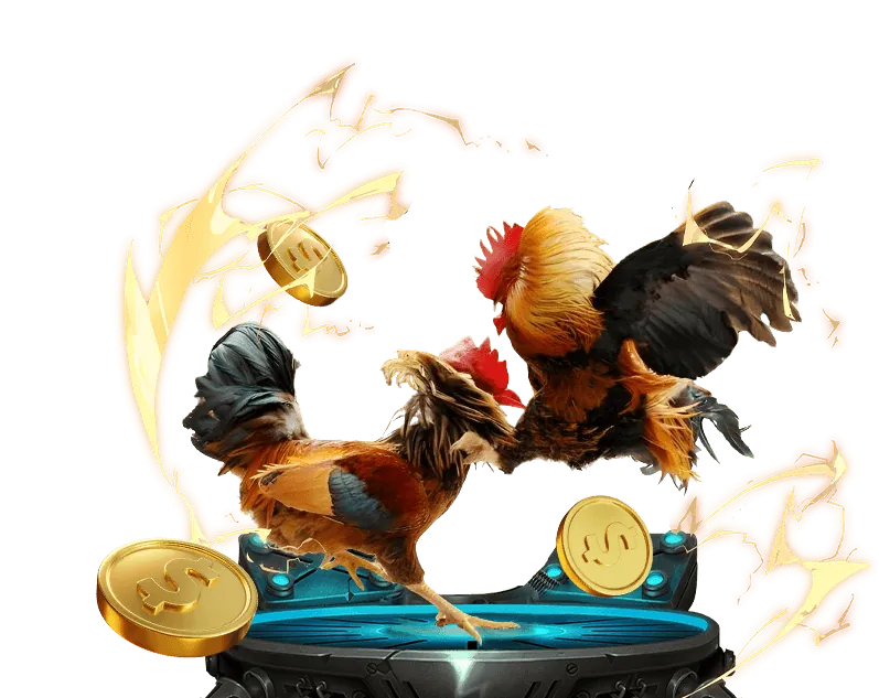 Phần câu hỏi thường gặp của m hello88 bet